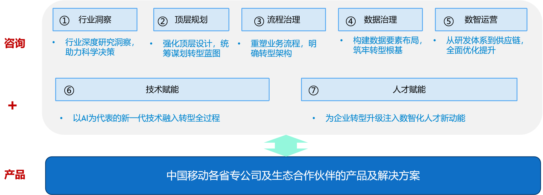 1-产品服务03-打造中国移动特色数智化转型咨询服务体系.png